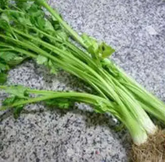 Make Celery sauce step 0