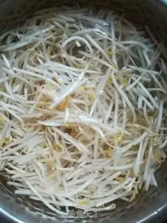 Make Bean sprouts step 1