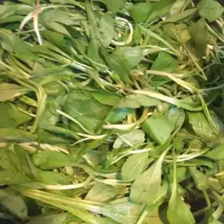 Make Clear Maran