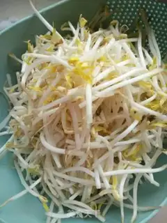 Make Green bean sprouts step 0