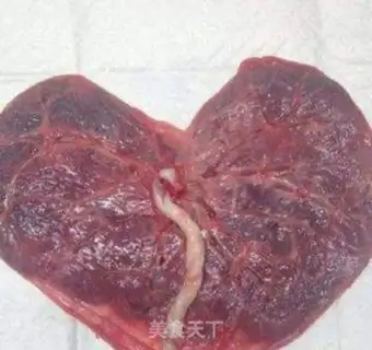 Make Fired placenta step 1
