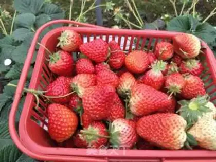 Make Homemade strawberry sauce step 0