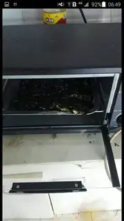 Make Sesame moss step 5