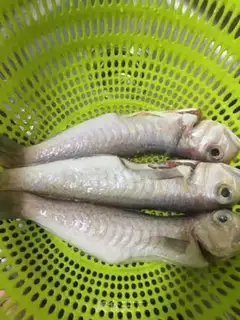 Make Fried seafish step 0
