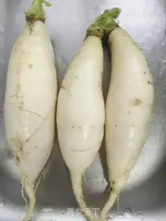 Make Piggy radish step 0