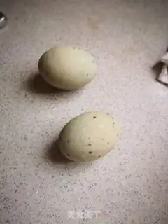 Make Eggs, tofu step 0