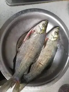 Make Fresh white fish step 2