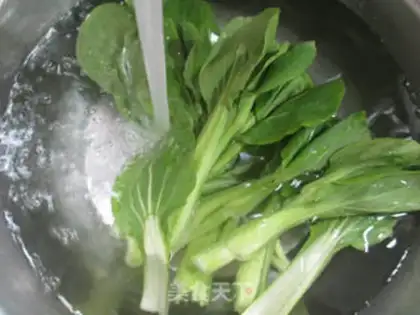 Make Shrimp-flavored cabbage step 1