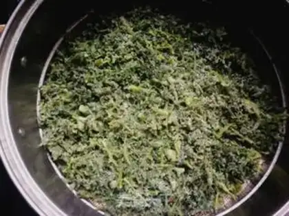Make Steam rice artemisinin step 6