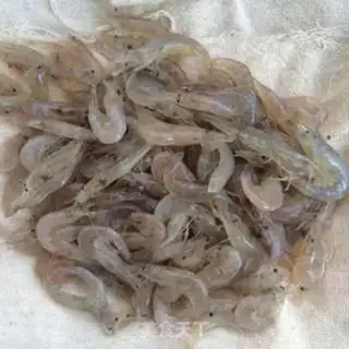 Make Shrimp step 1