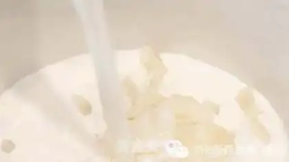 Make Cream milk, New Zealand gel step 1