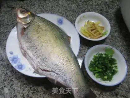 Make Vacuated fish step 0