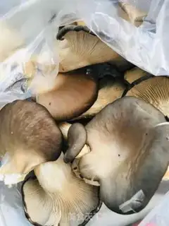 Make Pork-breather step 0