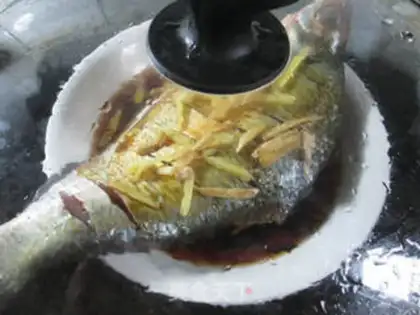 Make Vacuated fish step 9