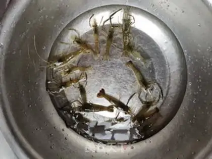 Make Shrimp soup step 0