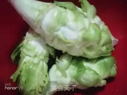 Make Fried food step 0