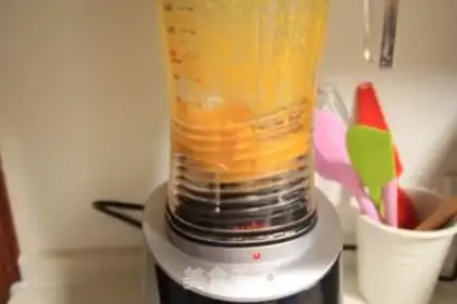 Make Mango Moose step 10