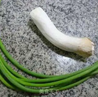Make Porphylla and garlic step 0