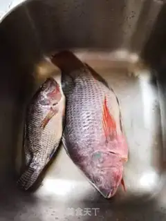 Make Red fish step 0