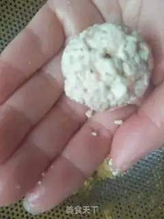 Make Tofuballs step 4