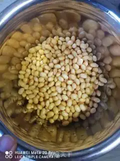 Make A young tofu brain step 0