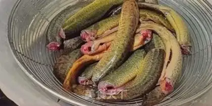 Make Flaming fish step 2