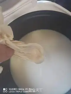 Make A young tofu brain step 5