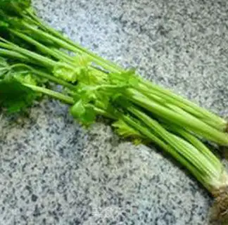 Make The celery sprouts step 0