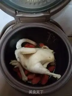 Make White pheasant step 4