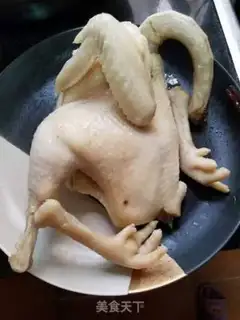 Make White pheasant step 5
