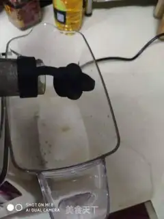 Make Pineapple juice step 3
