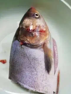 Make The fish head step 0