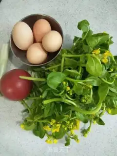 Make Tomato heart fried eggs step 0