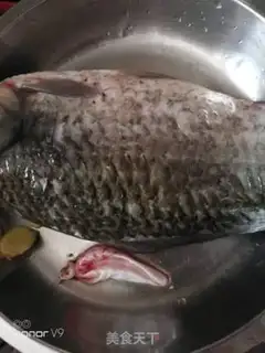 Make Squidfish step 0