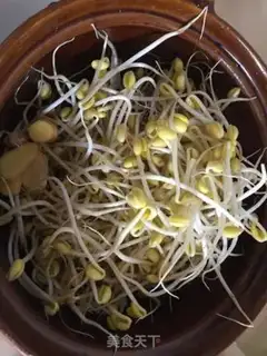 Make To the sprouts of wet beans step 2