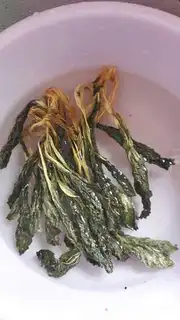 Make Soup step 0