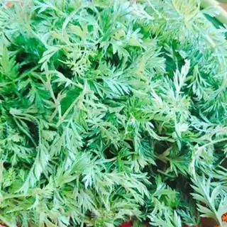 Make Fried carrot leaves step 0