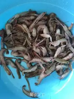 Make Shrimp step 0