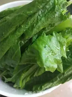 Make Spring food and wood step 1