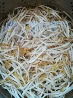 Make Slender sprouts step 0