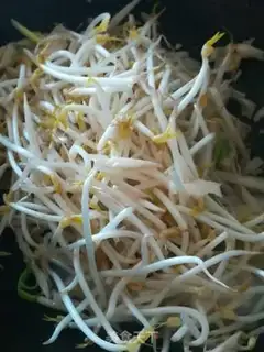 Make Slender sprouts step 3