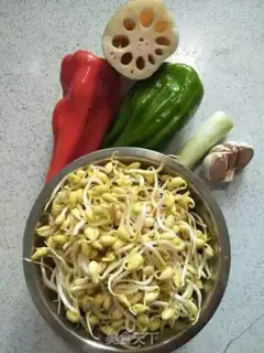 Make Soybean sprouts step 0