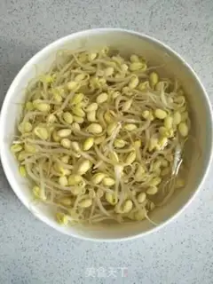 Make Soybean sprouts step 2