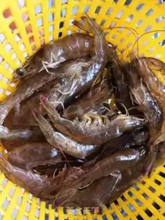 Make Shrimp step 1
