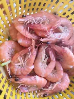 Make Shrimp step 5