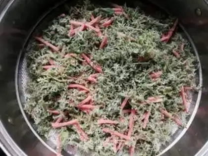 Make Mimi artemisinin carrots, double steam step 6