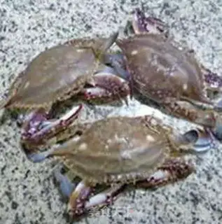Make Creamed crabs step 1