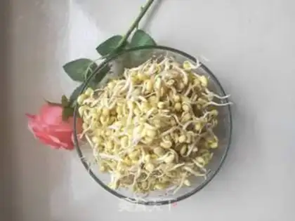 Make Soybean sprouts step 0