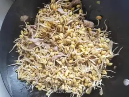 Make Soybean sprouts step 3