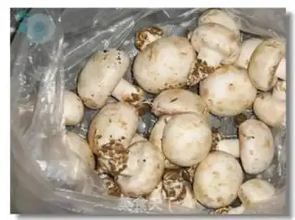 Make Chicken mushroom congee step 1